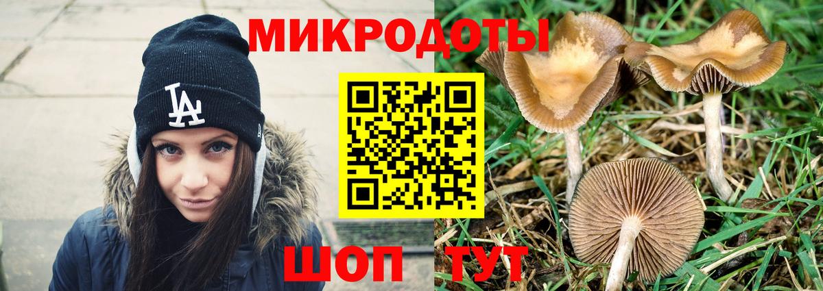 Шелехов  Галлюциногенные грибы Psilocybine cubensis  Вход с VPN  Галлюциногенные грибы Cubensis 